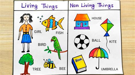 5 living things drawing|Drawing Living and Non.